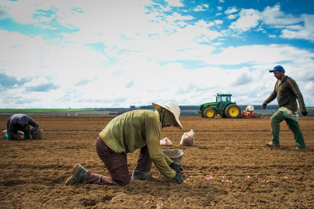 Boas relações de trabalho rural