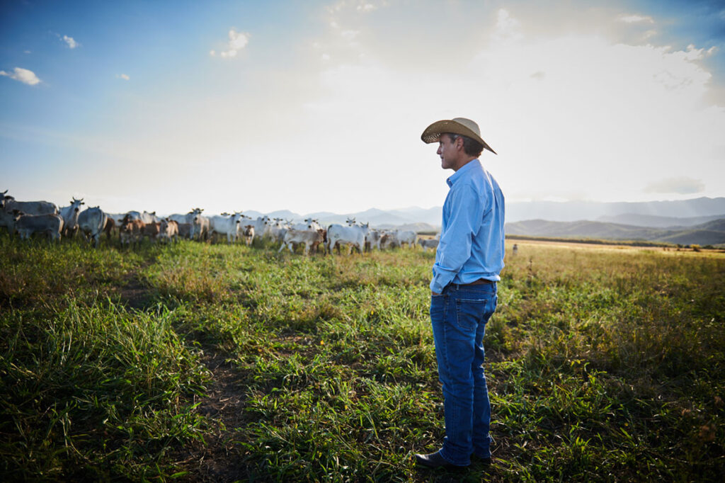 A transformação da Fazenda Roncador