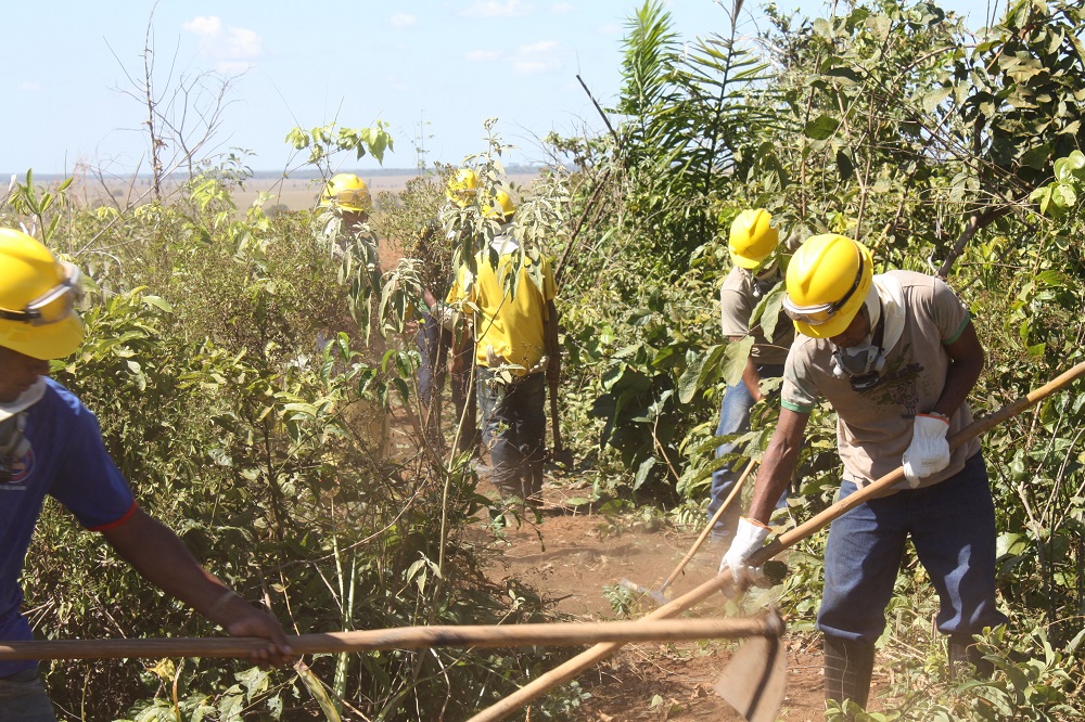 Farm workers prepare fire lines for fire prevention.