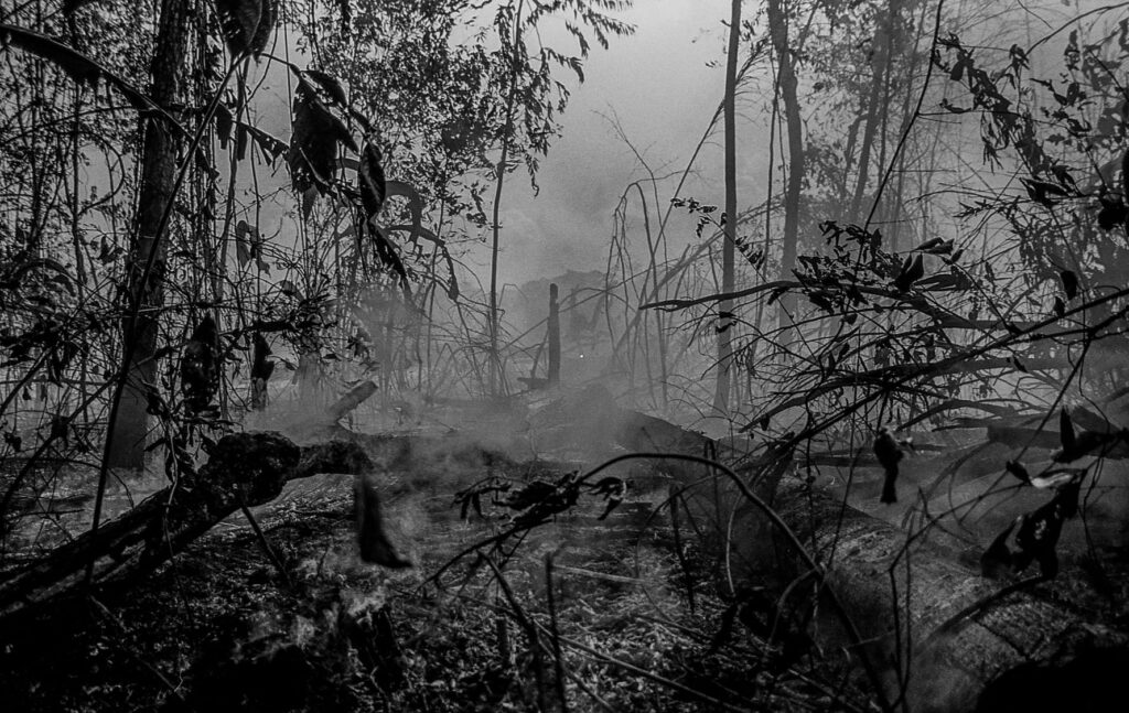 Forest destroyed by burning in the Amazon.