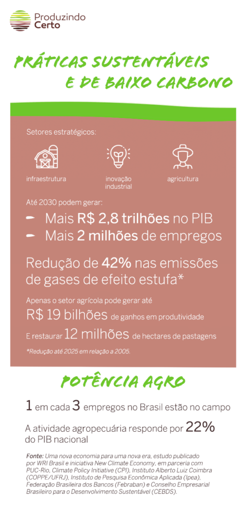 Agronegócio Responsável ajuda na diminuição de carbono