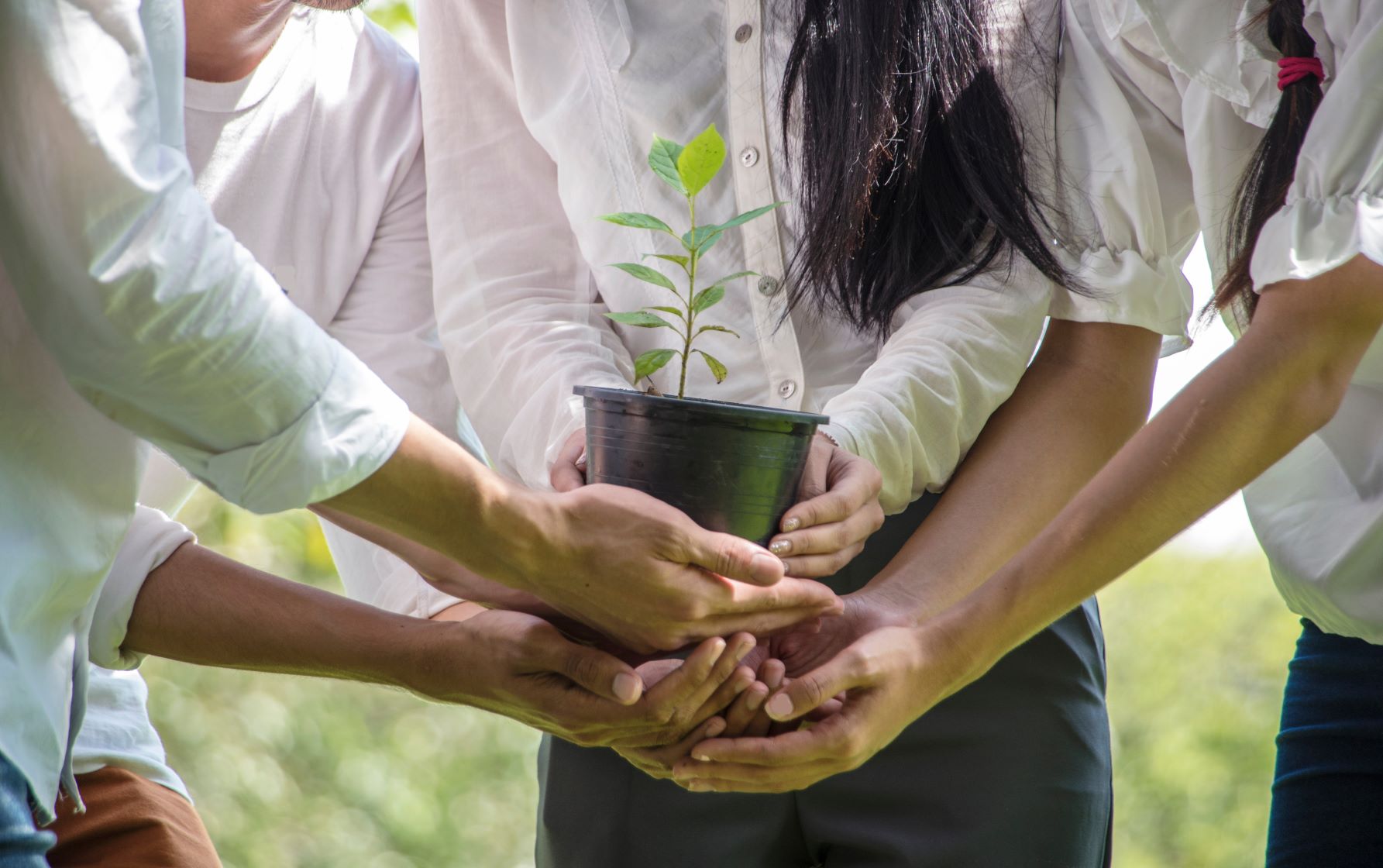 Vagas: Venha ajudar a fazer o Agro Responsável