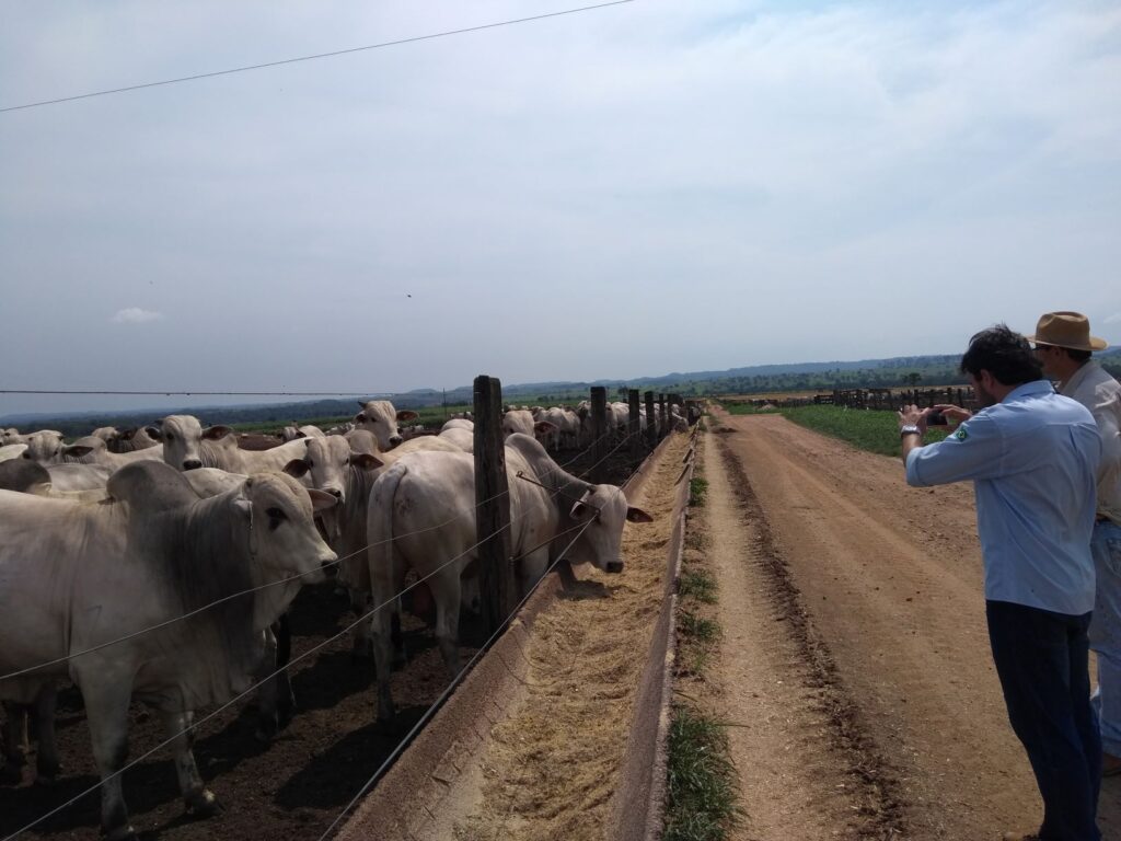 É a proximidade com o campo que faz o trabalho da Produzindo Certo diferenciado. Com o contato direto com os produtores, eles capturam as percepções críticas e desafios enfrentados por quem vive da terra. 