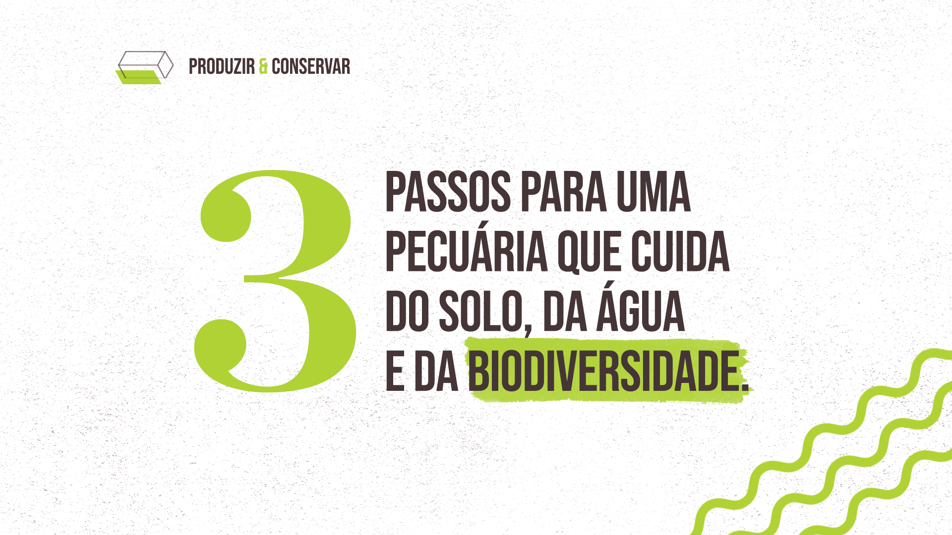 Pecuária que cuida da água, do solo e da biodiversidade