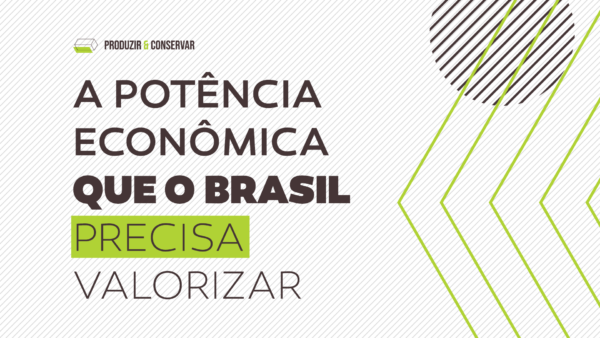 Bioeconomia: A potência econômica que o Brasil precisa valorizar