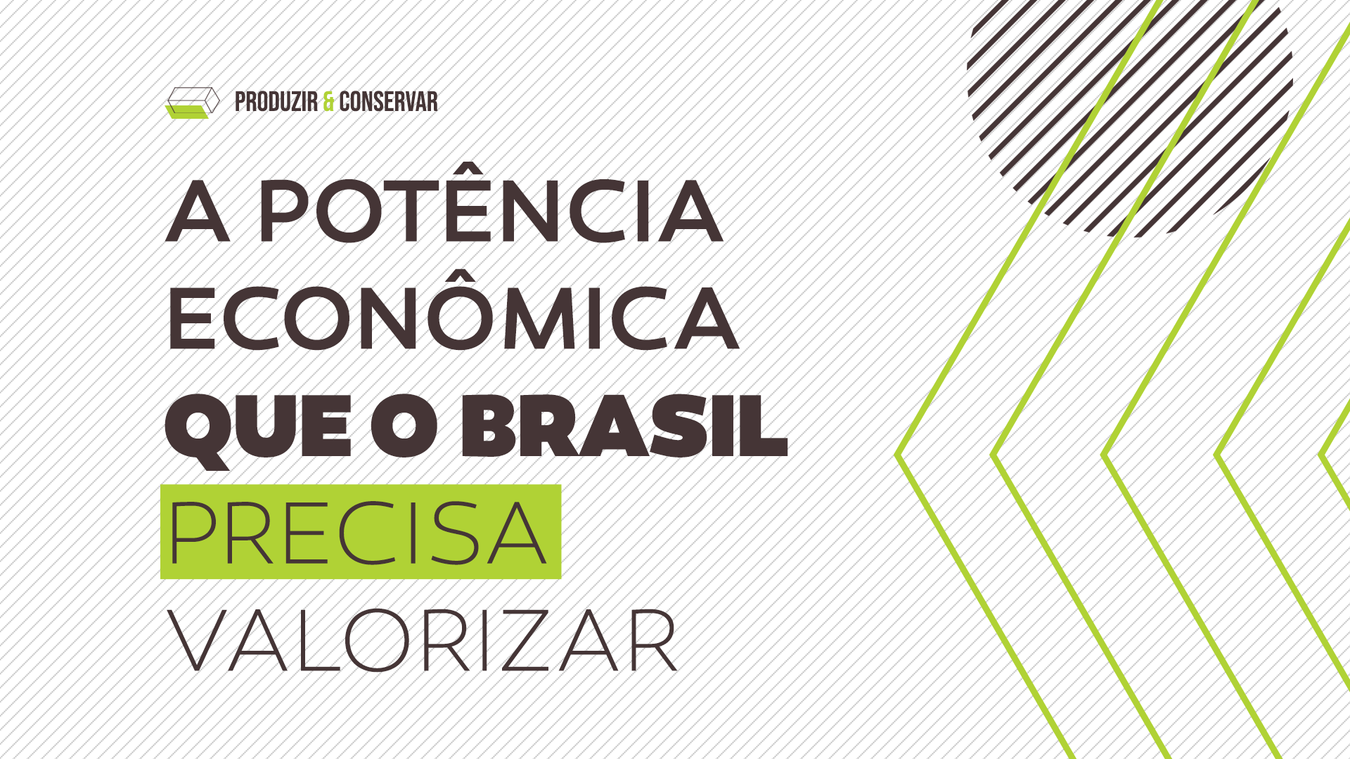 Bioeconomia: A potência econômica que o Brasil precisa valorizar