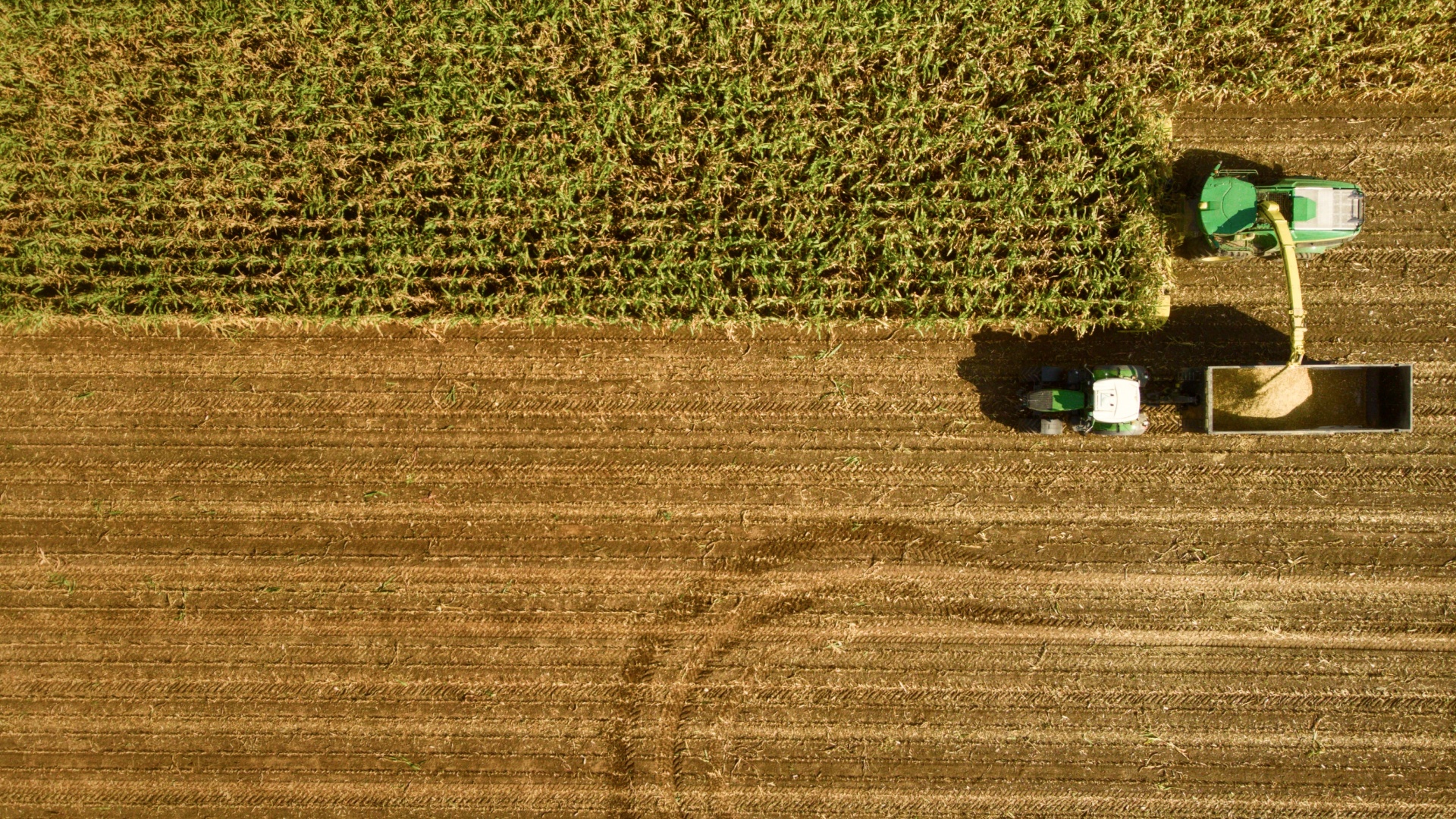 Fique por dentro das finanças no campo