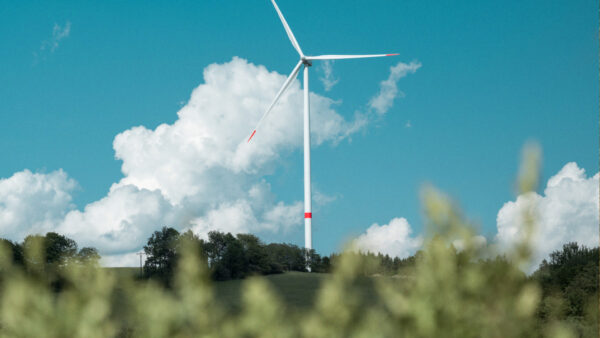 Você sabe o que é Net Zero?