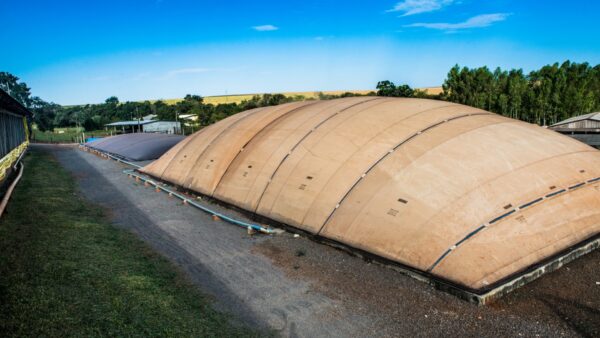 Conheça fontes de energias renováveis para investir na fazenda