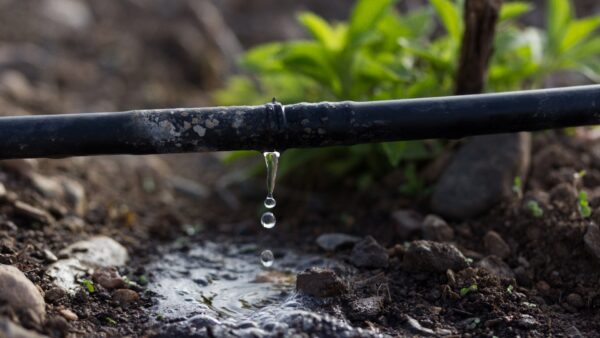 6 técnicas simples para economizar água no campo