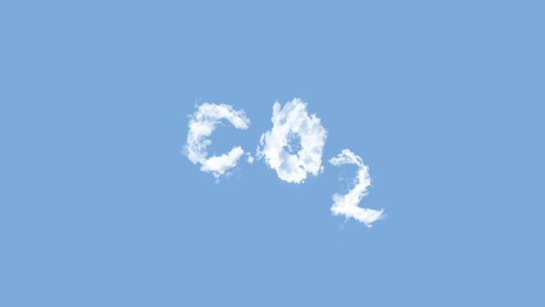 Uma lei para o mercado de carbono