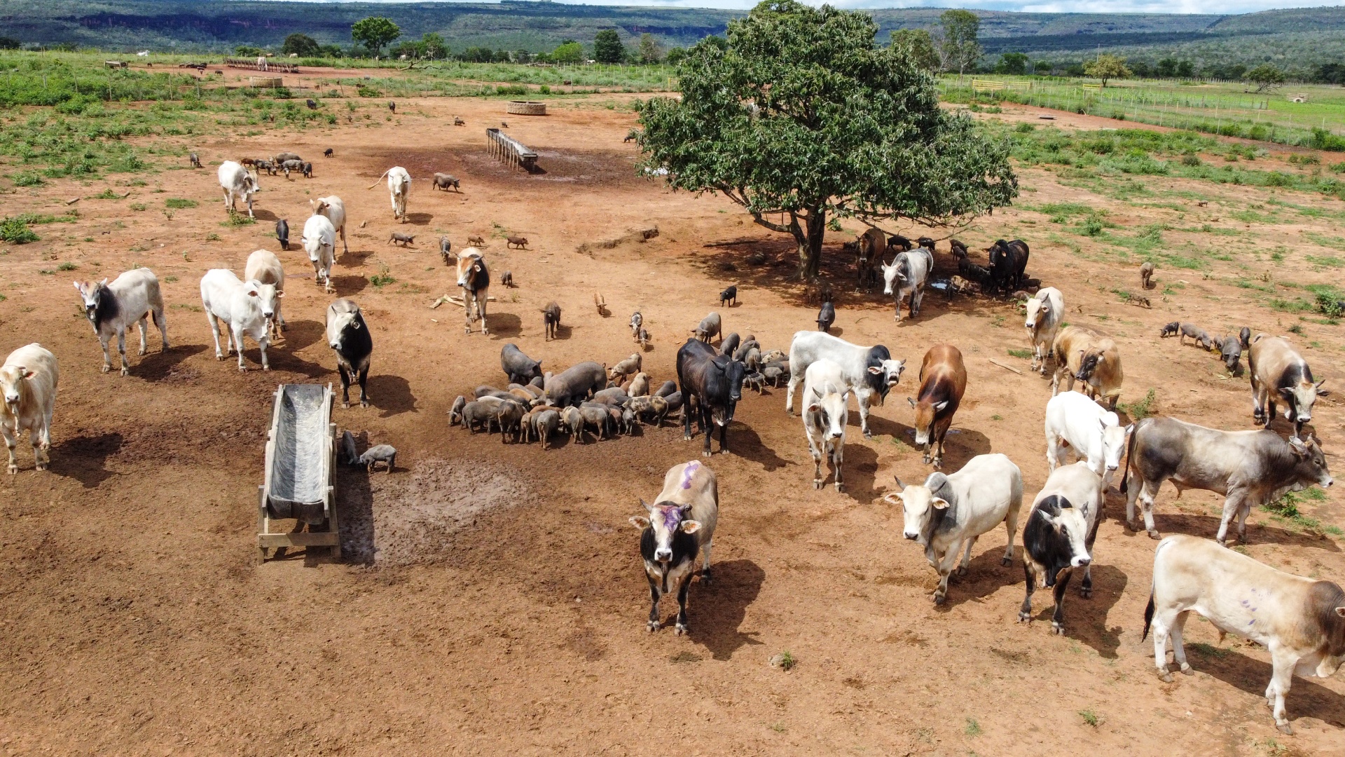 Fazenda Paraná: Produzir em harmonia com a natureza