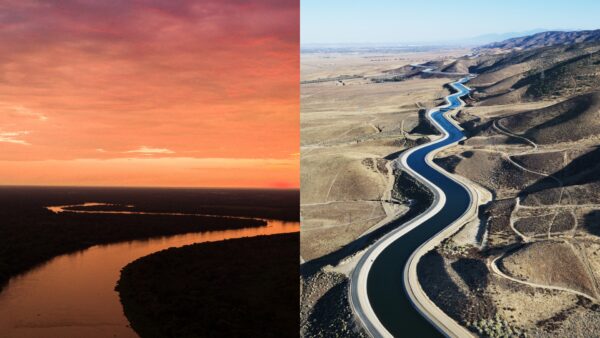 Uma viagem do Pantanal à Califórnia