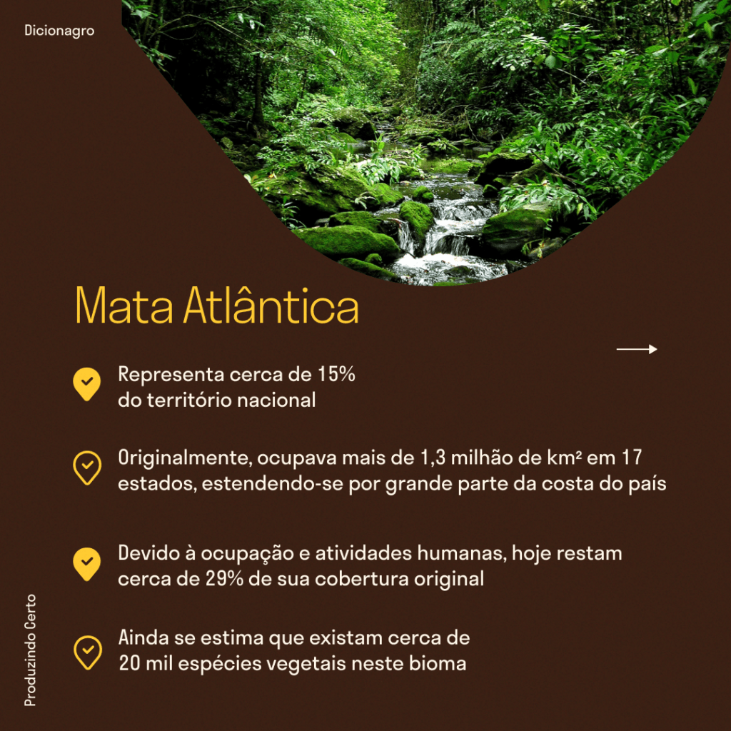 Mata Atlântica é o bioma com mais espécies de fauna e flora