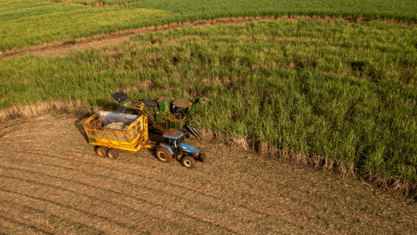 8 coisas que você precisa saber antes de contratar um crédito rural