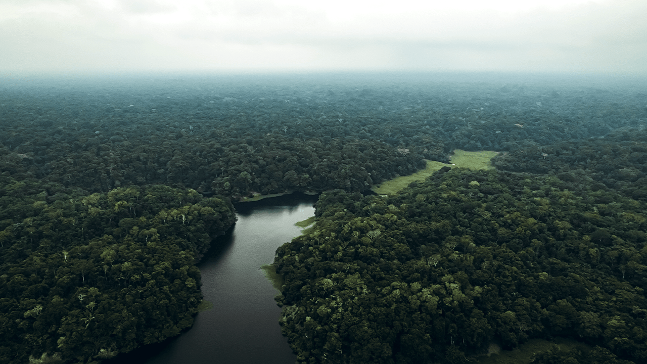 A Amazônia em fatos