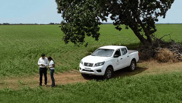 Oportunidade: treinamento em agricultura sustentável