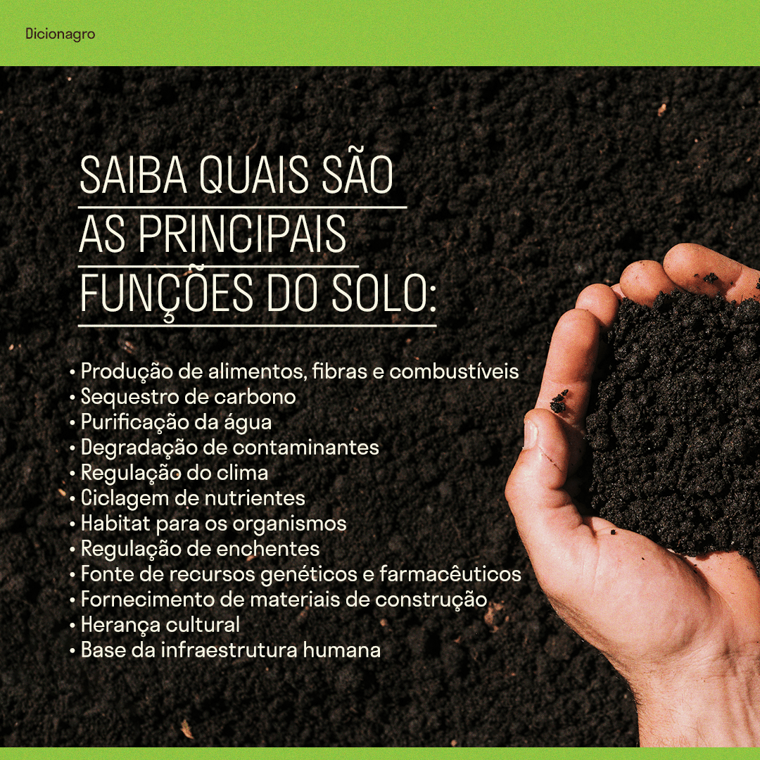 Conheça os principais tipos de solos do Brasil - Produzindo Certo
