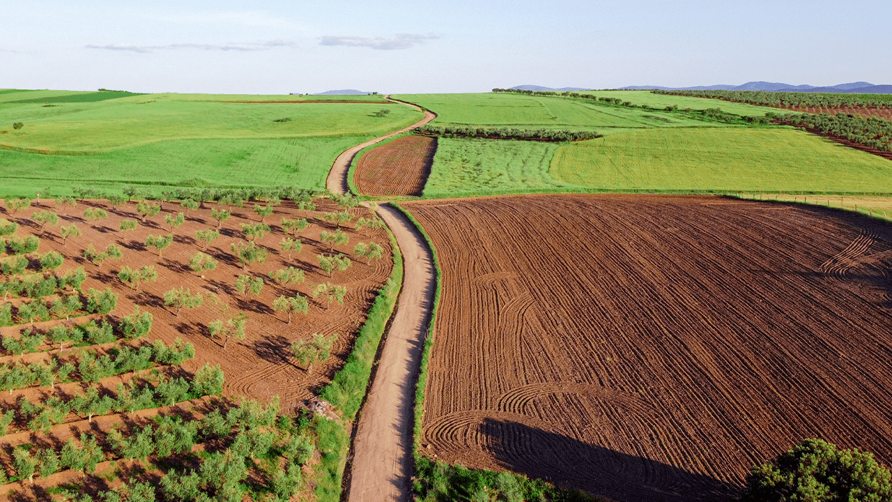 6 Tendências para o agro responsável em 2023