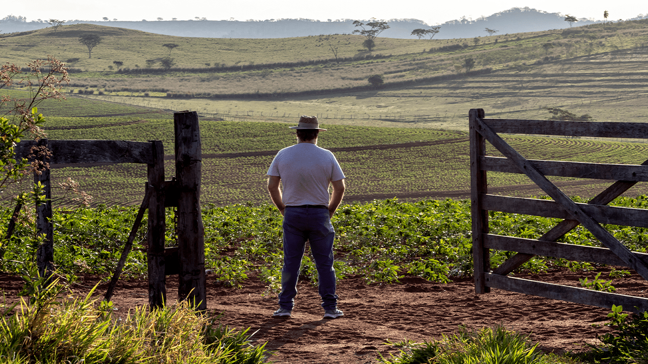 Precisamos falar sobre o direito à propriedade