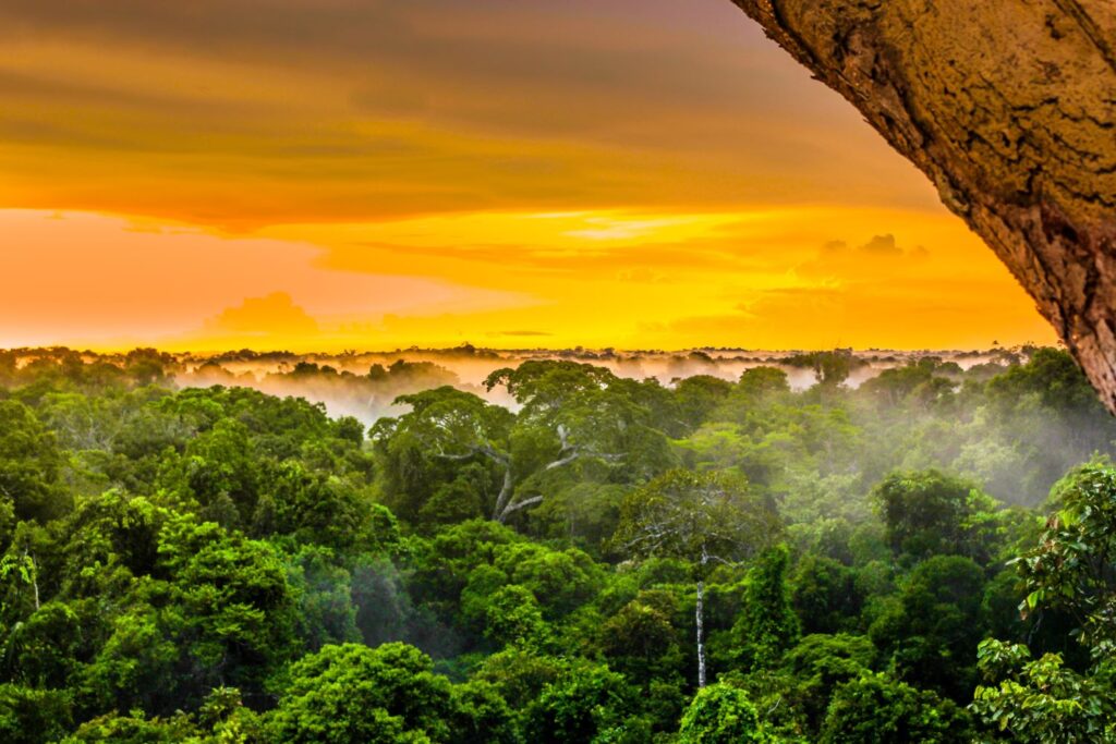 Os nomes e sobrenomes da Amazônia