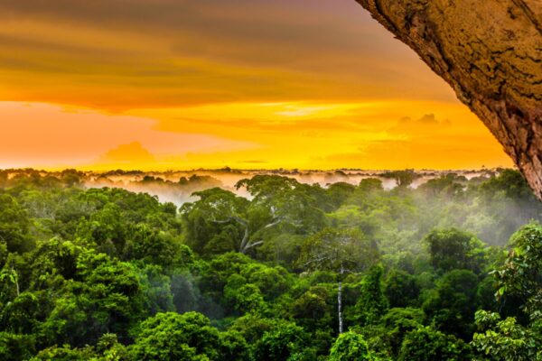 Os nomes e sobrenomes da Amazônia