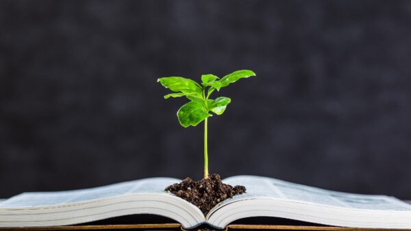 Uma educação para o agronegócio contemporâneo