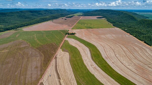 Uma nova paisagem para o Mato Grosso