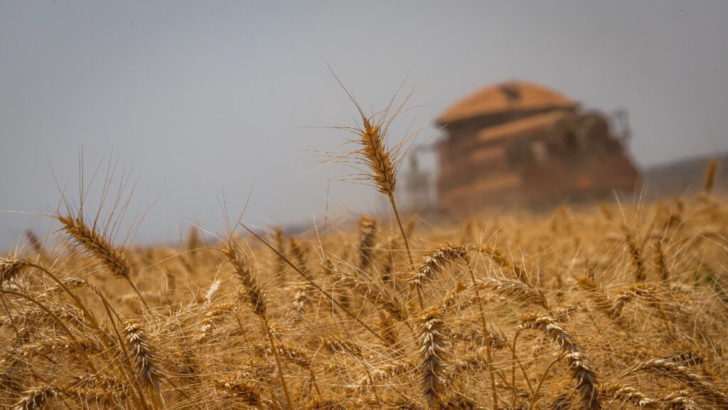 Calendário do Agro | Julho de 2023