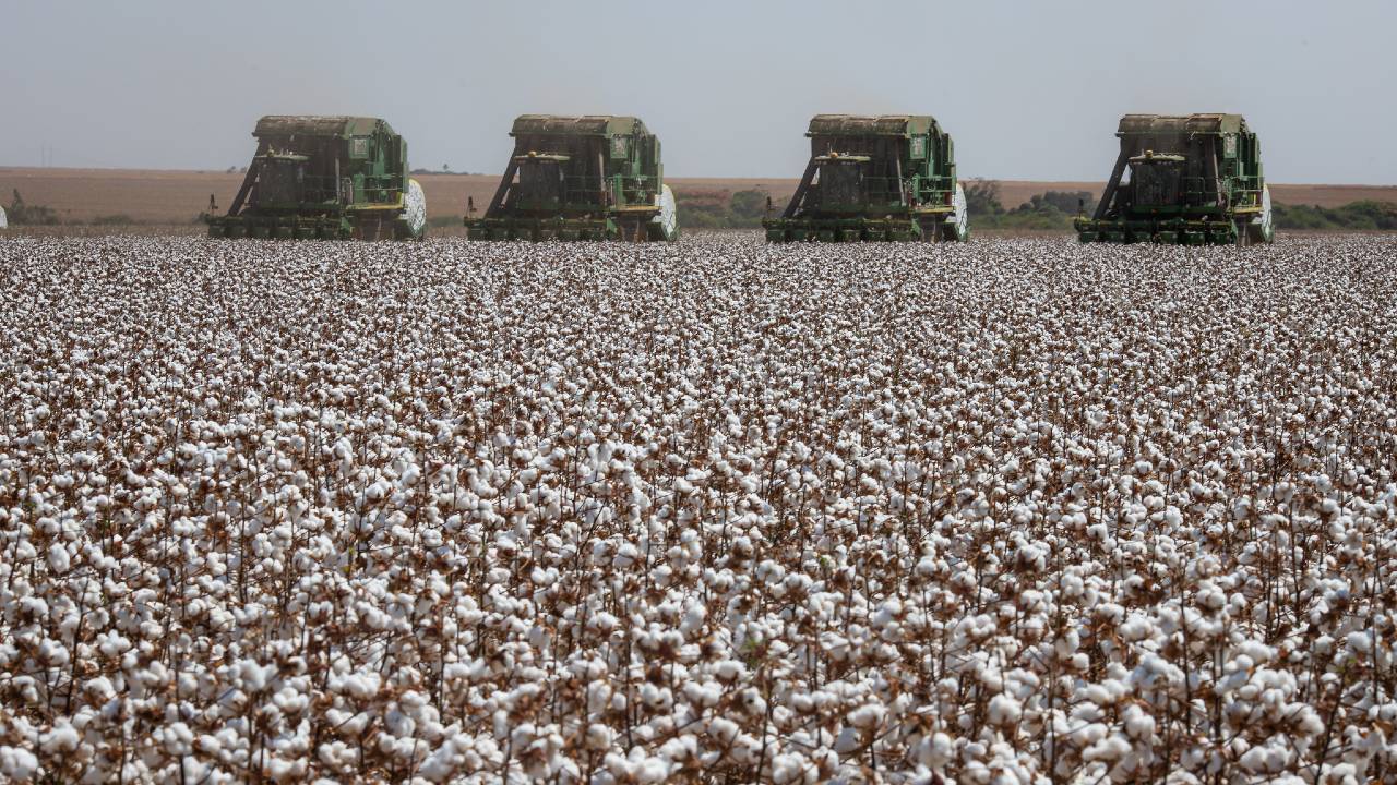 Calendário do Agro | Setembro de 2023