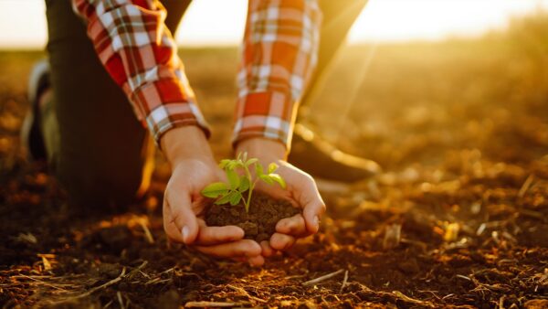 Precisamos falar (sem rodeios) sobre agricultura regenerativa