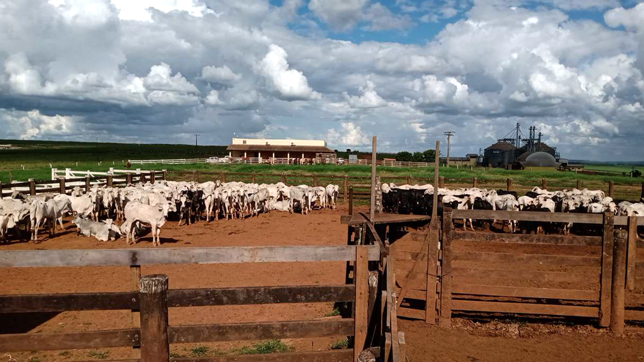 A economia circular da Fazenda Rio Paraíso