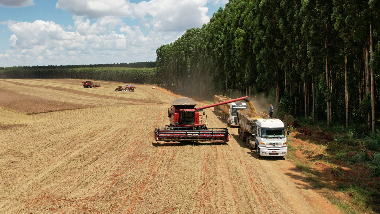 Calendário do Agro  Fevereiro 2024 - Produzindo Certo