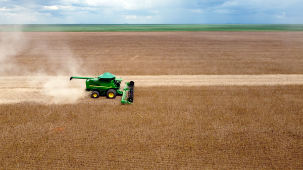 Projeto Farmer First Clusters impulsiona a Soja Responsável no Cerrado