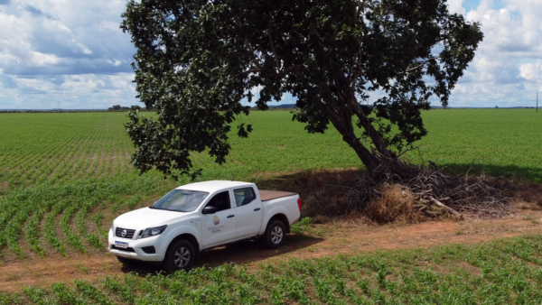 Farmer First Clusters: Produzindo Certo está na estrada