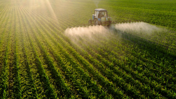 6 técnicas para reduzir o uso de defensivos agrícolas