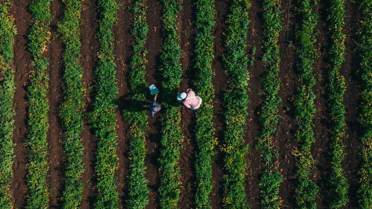 A produção de alimentos e a conta de US$ 10 trilhões