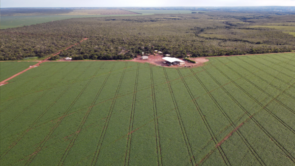 Fazenda Projeto SCF