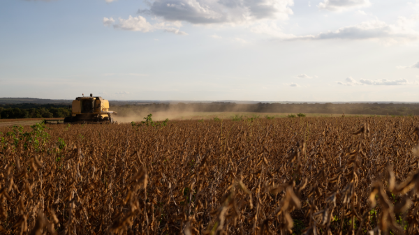 Projeto Soja no Cerrado – Produtores em foco: Mais valor para a produção