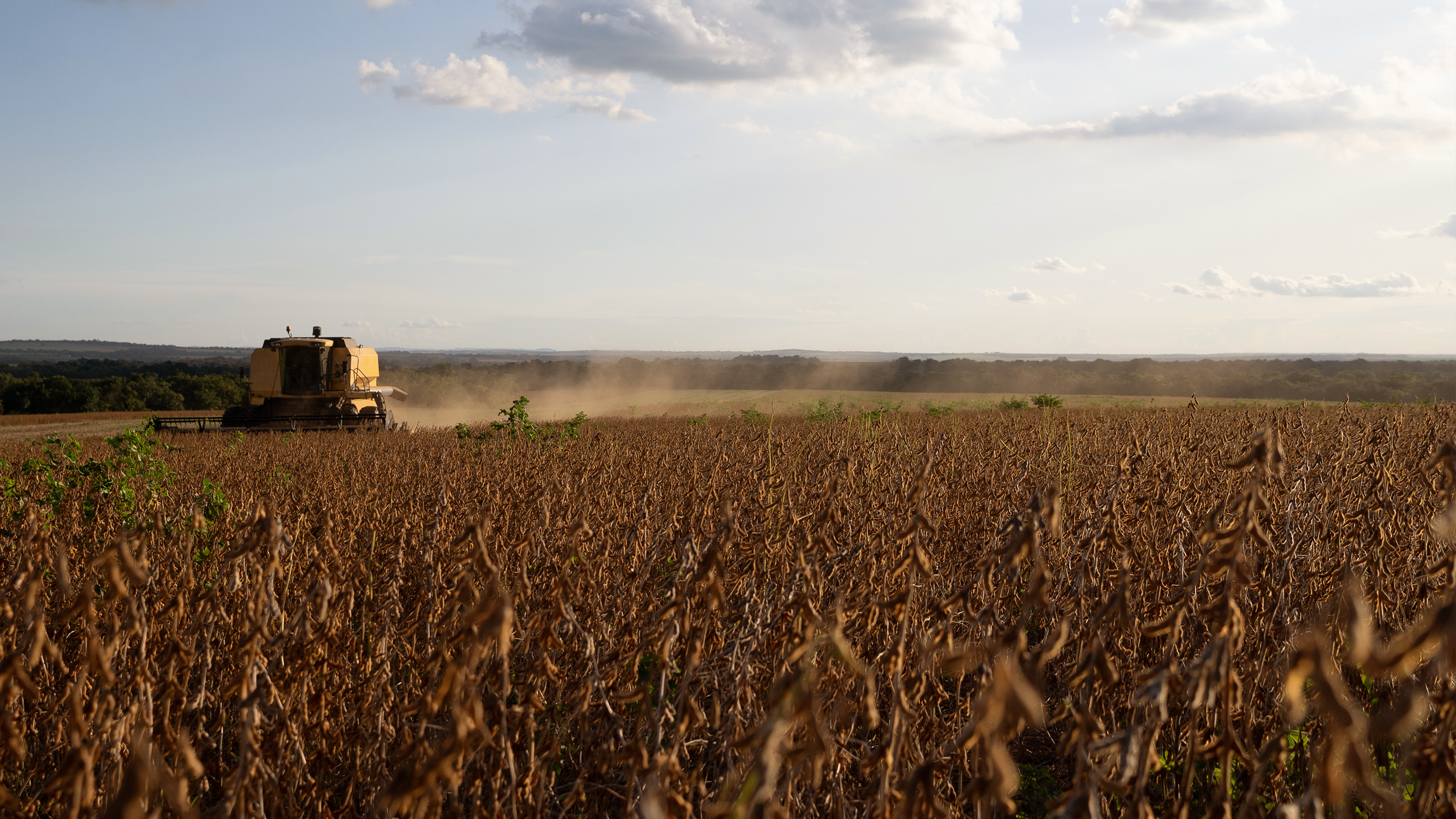 Projeto Soja no Cerrado – Produtores em foco: Mais valor para a produção