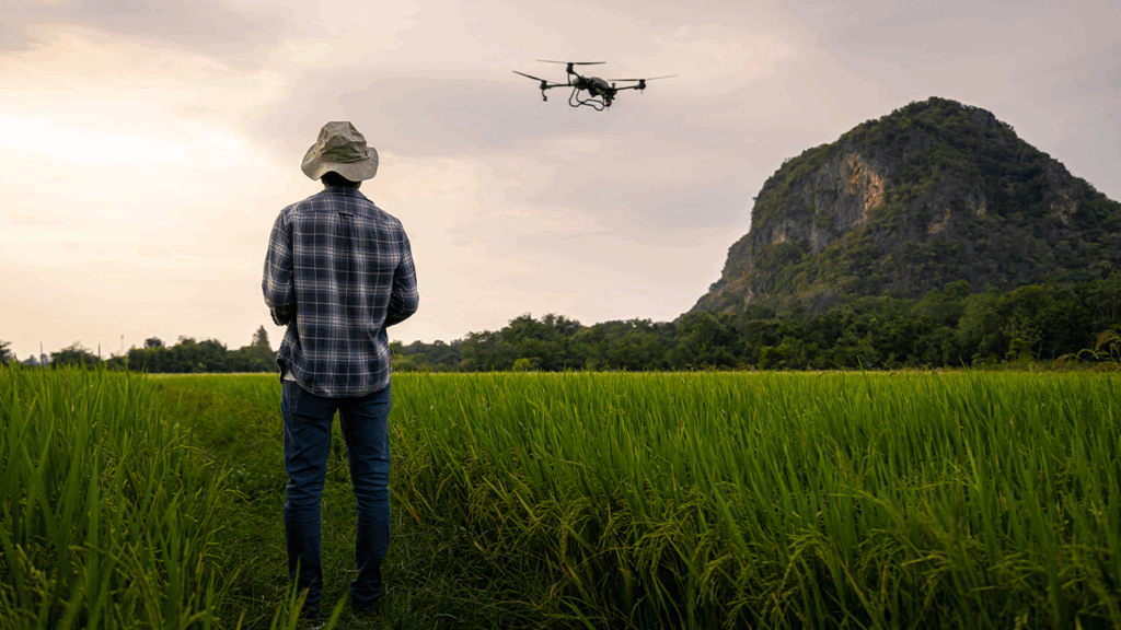 As novas profissões do agro sustentável