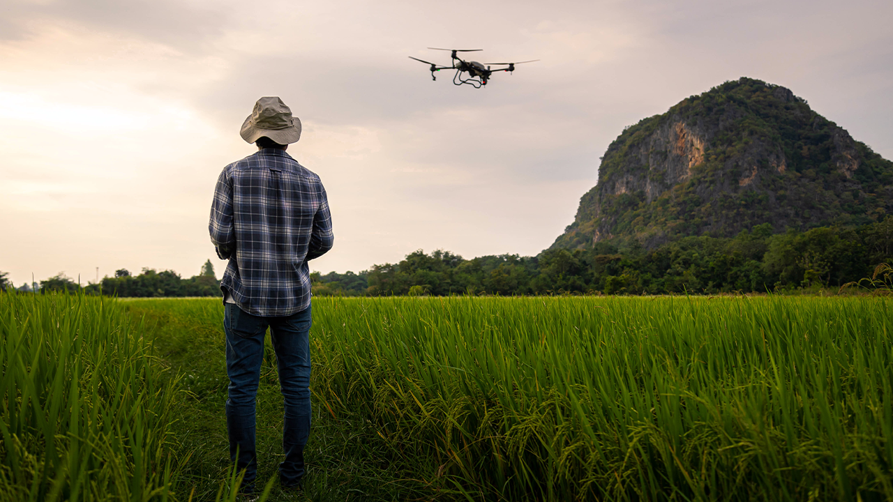 As novas profissões do agro sustentável