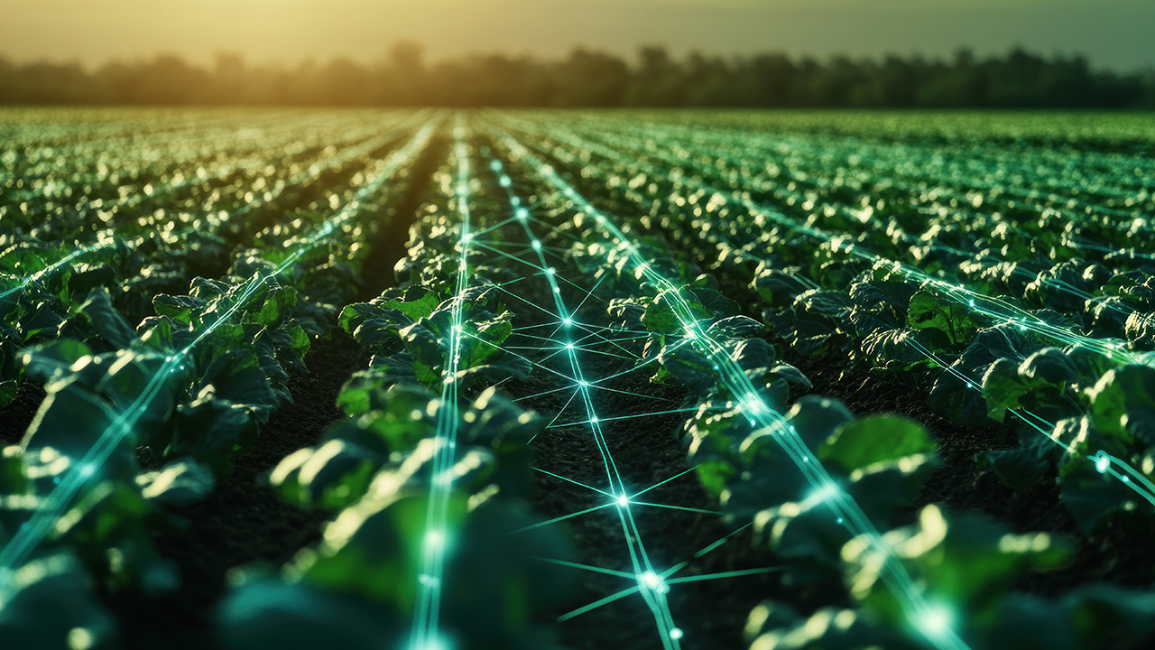O solo virou ativo: Como a tecnologia está mudando o valor do campo