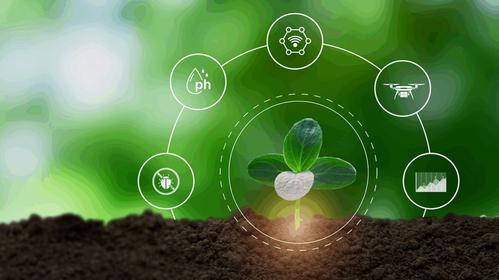 Economia circular no agro: Conheça 5 exemplos que já funcionam no Brasil