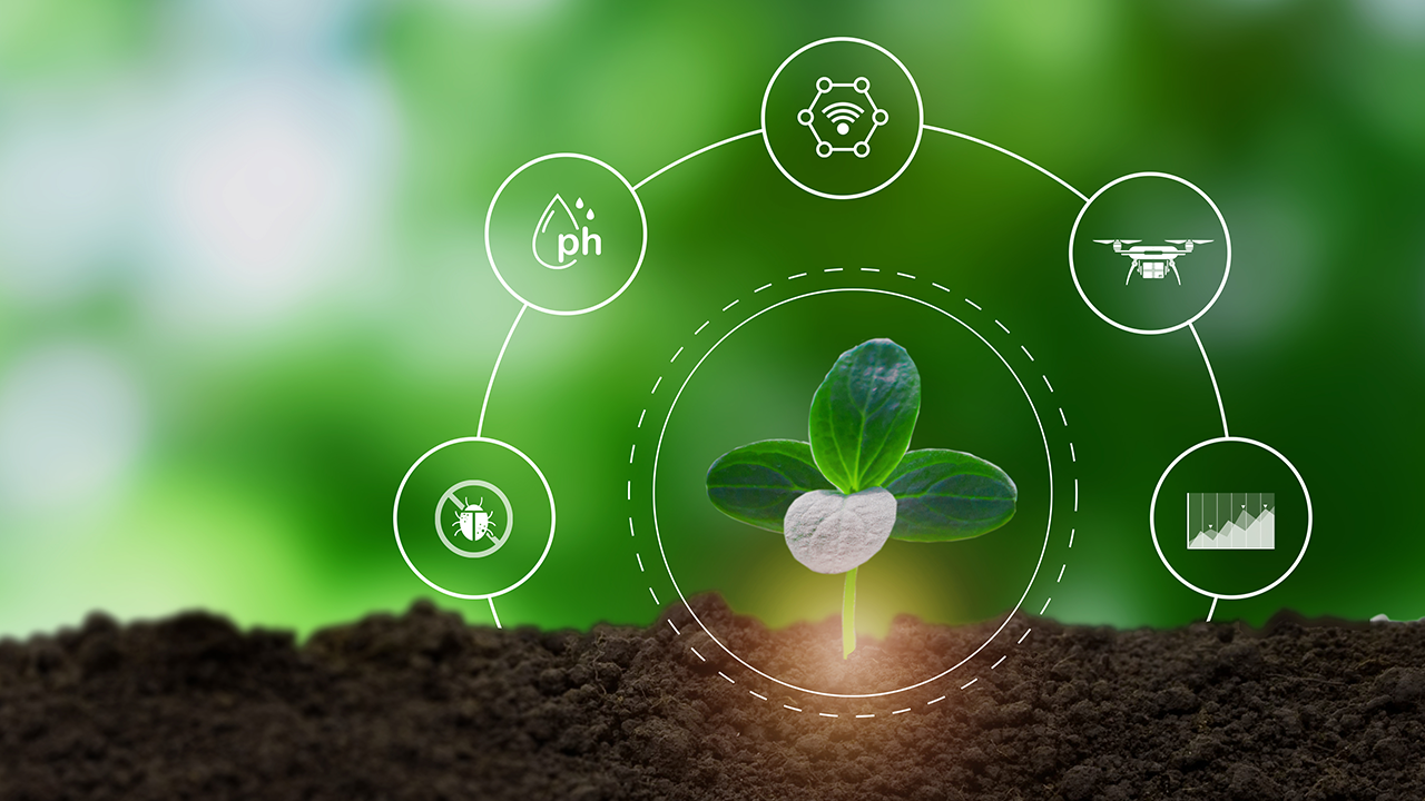 Economia circular no agro: Conheça 5 exemplos que já funcionam no Brasil