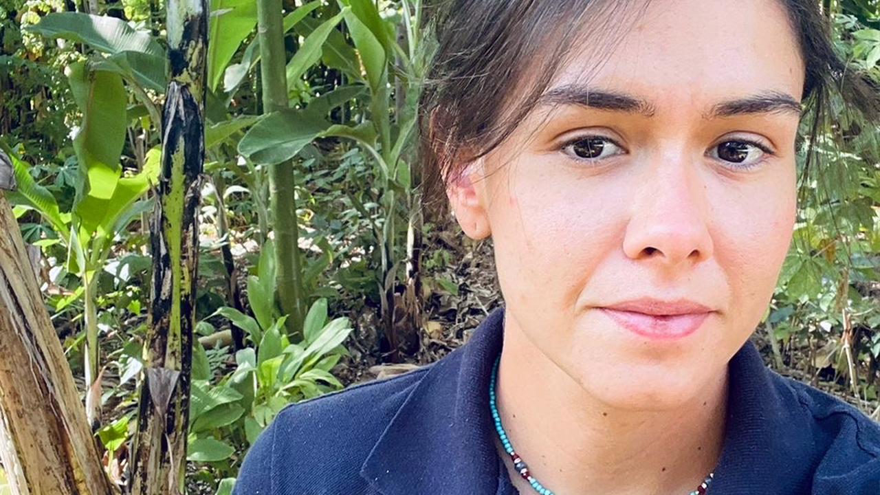 Agrofloresta transforma manejo na Fazenda Mata do Lobo