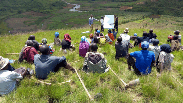 Proforest se une ao Reg.IA para fortalecer a agricultura regenerativa no Brasil