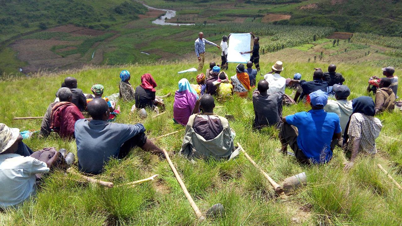 Proforest se une ao Reg.IA para fortalecer a agricultura regenerativa no Brasil