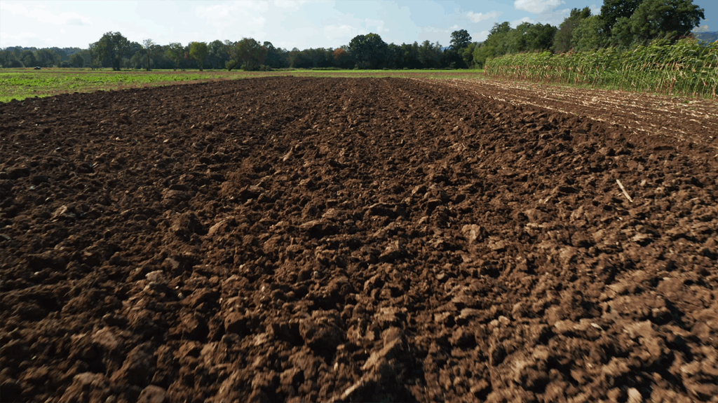 Calendário do Agro | Dezembro 2025