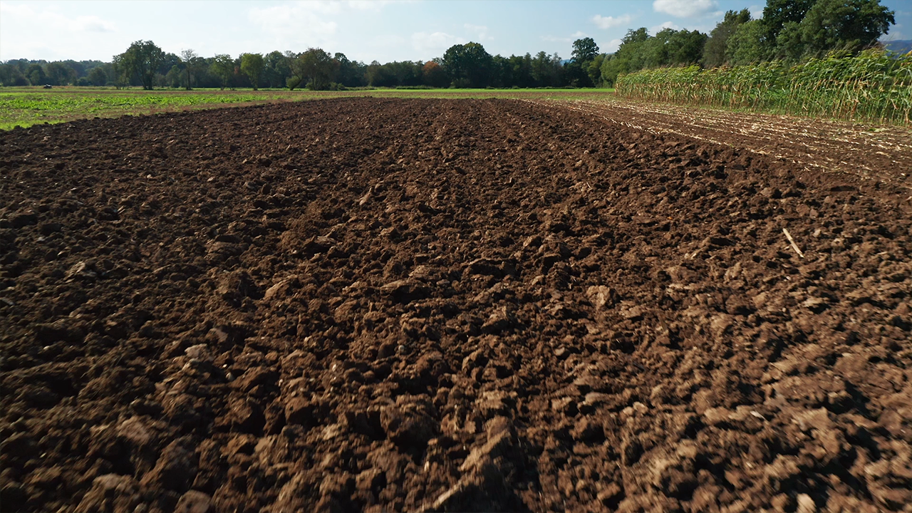 Calendário do Agro | Dezembro 2025